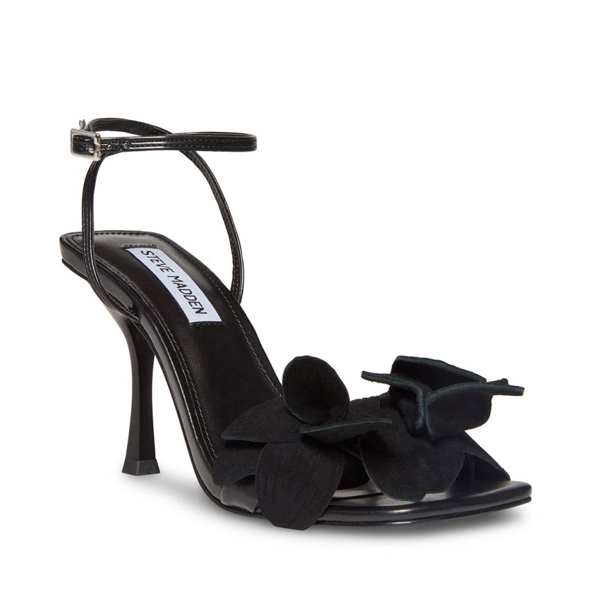 Black Steve Madden Amani Women's Heels Sandals | PH 8314GBK